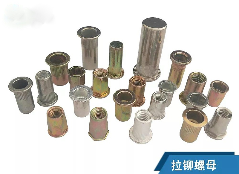 榴莲视频官网铆螺母