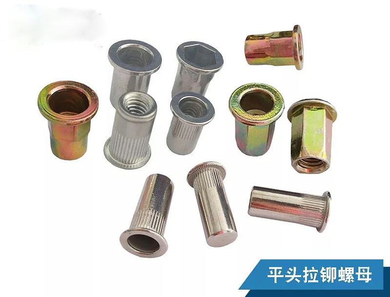 榴莲视频官网铆螺母