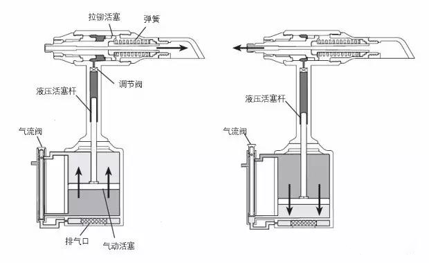 榴莲APP下载大全分解图