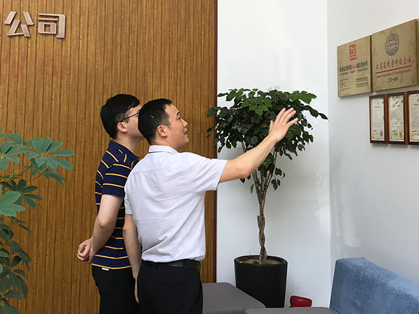 榴莲视频官网自动拉钉机